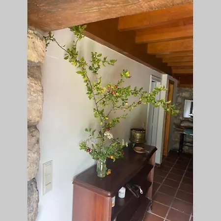 Preciosa Casona Con Horreo Tatil Evi *